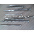 spiral galvanized steel nails manufacturer with grooved/screw shank